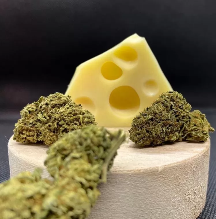 La cheese CBD, Vitrolles, The Green Flower