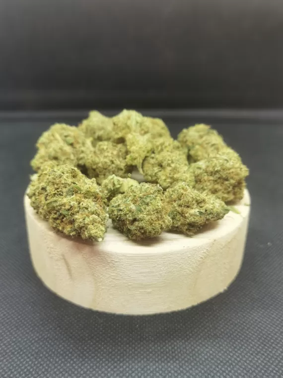 d og1
