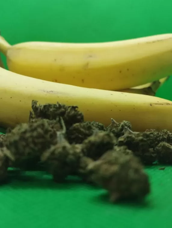 Vente de fleurs de CBD Banana Kush à Vitrolles, Vitrolles, The Green Flower