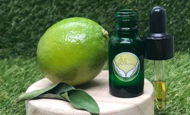 Huile sublingual citron vert, Vitrolles, The Green Flower
