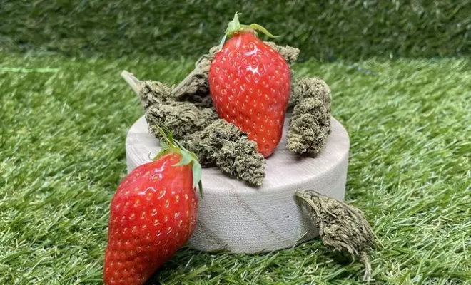Strawberry CBD, Vitrolles, The Green Flower