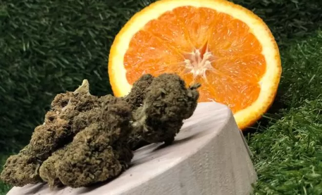 Fruity juicy CBD, Vitrolles, The Green Flower