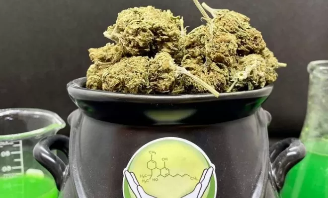Green poison CBD, Vitrolles, The Green Flower