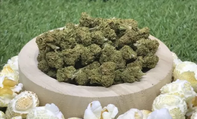 Popcorn CBD, Vitrolles, The Green Flower