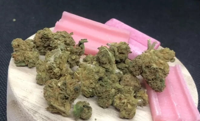 Bubblegum sm