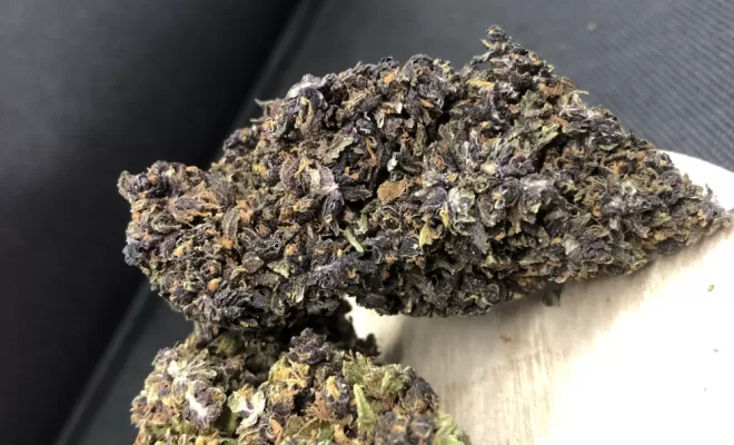 Purple(2)