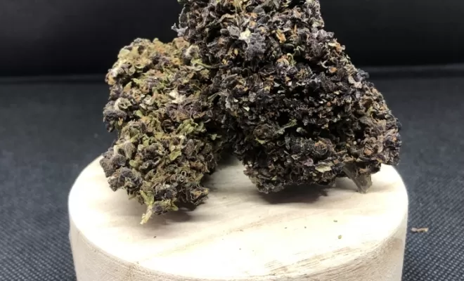purple cbd