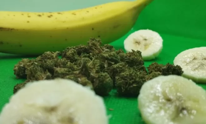 La banana kush !, Vitrolles, The Green Flower